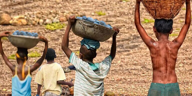 Brasil tem redução recorde na lista Piores Formas de Trabalho Infantil