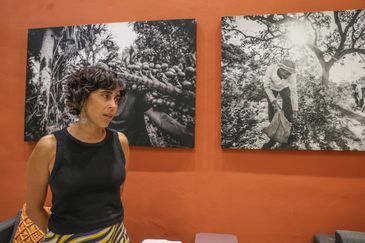 Brasília (DF), 03/11/2025 - Isabel Figueiredo (ISPN) durante entrevista para projeto cerrado. Foto: Valter Campanato/Agência Brasil