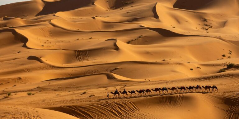Pesquisa prevê mudanças no clima do Deserto do Saara nos próximos anos