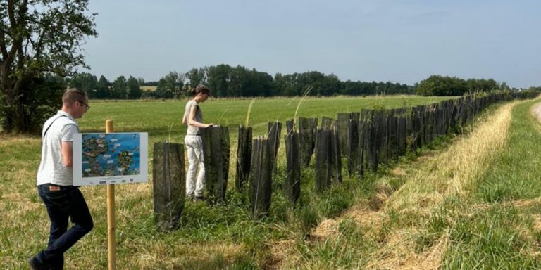 Floresta em pé: lavoura e árvores reduzem impacto de mudança climática
