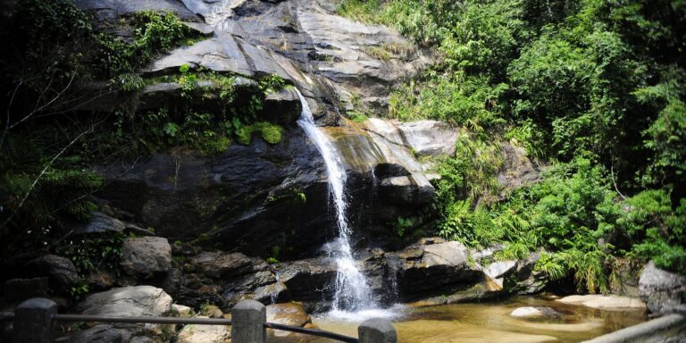 Parque Nacional da Tijuca promove feira de ciências com foco em peixes
