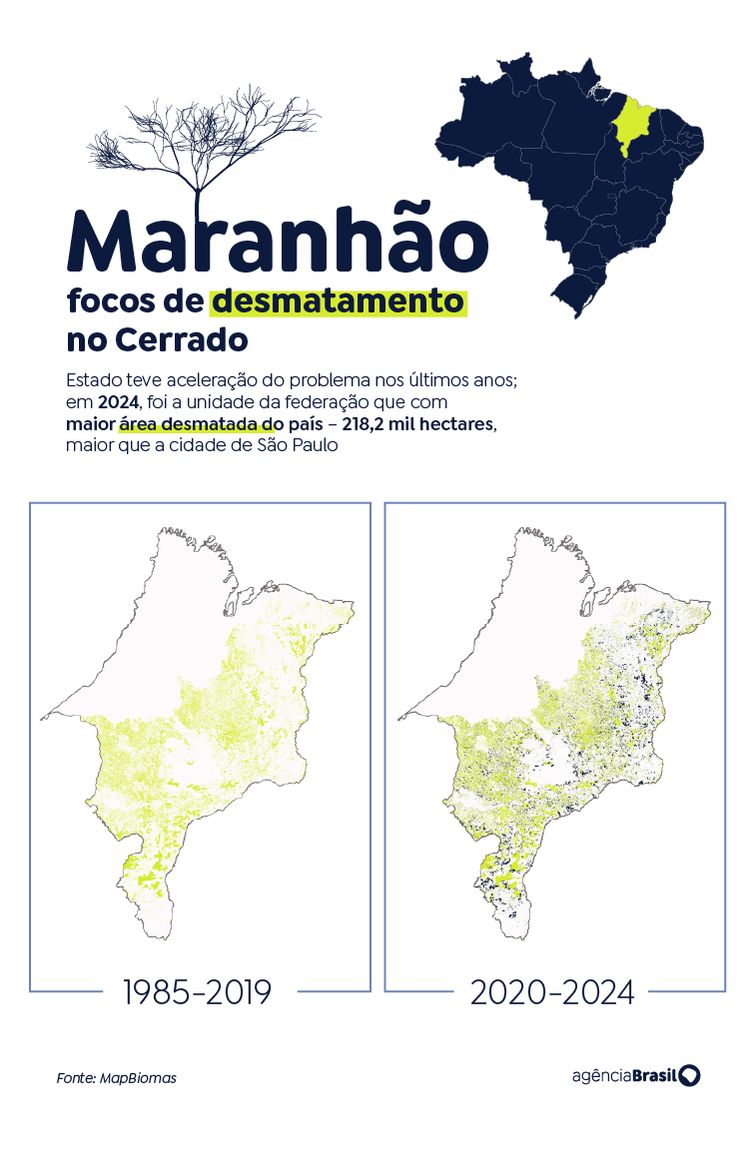 Brasília (DF), 01/11/2025 - Infográficos - especial Fronteira Cerrado. Arte Agência Brasil