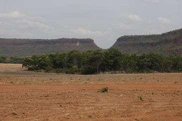 Balsas (MA), 09/10/2025 – Lavoura de cultivo de soja avança sobre a vegetação do cerrado na região do Vão do Uruçuí, nos Gerais de Balsas. Foto: Fernando Frazão/Agência Brasil
