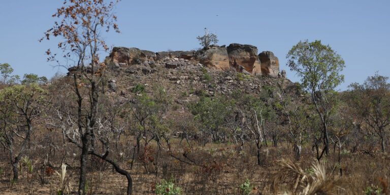 Agência Brasil lança primeira reportagem da seleção Nádia Franco