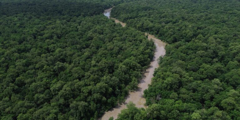Áreas protegidas são quase metade da Amazônia Legal, mostra IBGE
