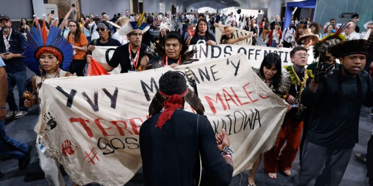 COP30: demarcação de terras e participação popular marcaram protestos