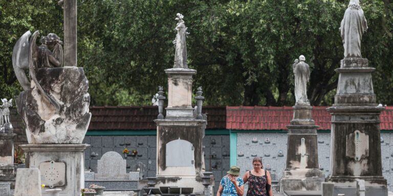 Mortes no país crescem 4,6% em 2024, maior alta fora anos de pandemia