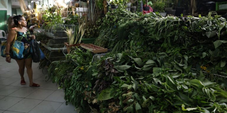 Erveiras se atualizam para atender a novas tradições de religiões afro