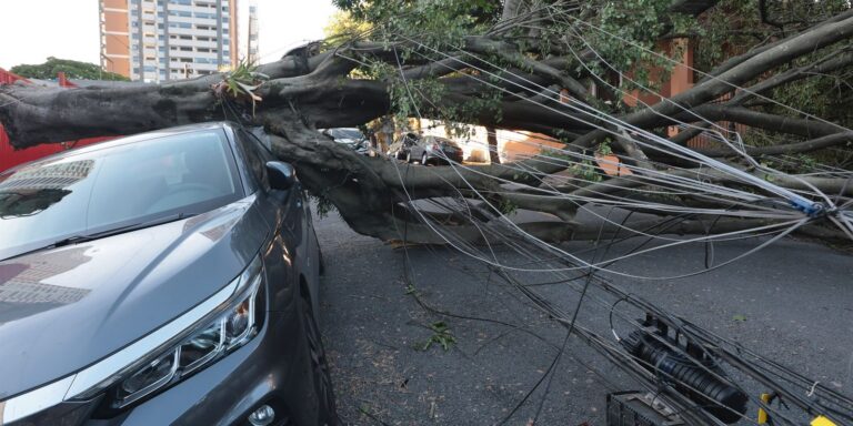 São Paulo e capitais do Sul terão ventos moderados nesta quinta-feira