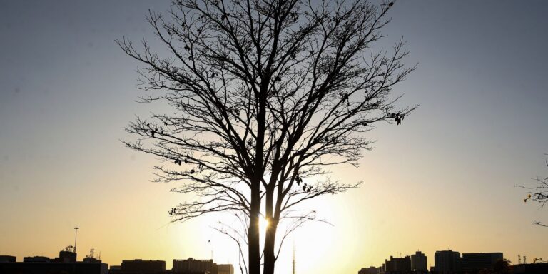 Duas pesquisadoras da Uerj participam do seleto grupo do IPCC da ONU