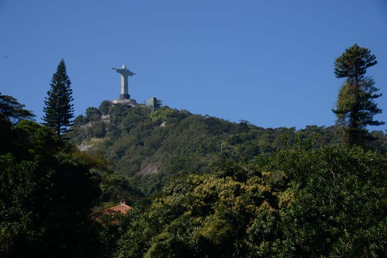 Rio de Janeiro - Cristo Redentor visto do Parque Nacional da Tijuca, durante mutirão de plantio de mudas de espécies nativas na nascente do Rio Carioca (Fernando Frazão/Agência Brasil)