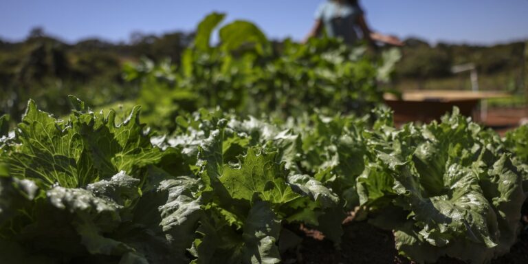 Acordo garante terras a 3 mil famílias em assentamentos no Paraná