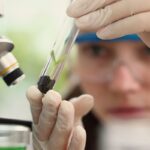 Observatório lança edital do programa Meninas Cientistas do ON