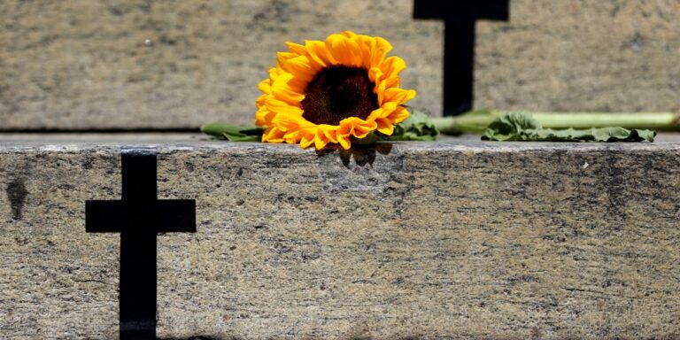 Caso de Itumbiara acende alerta para violência vicária; entenda