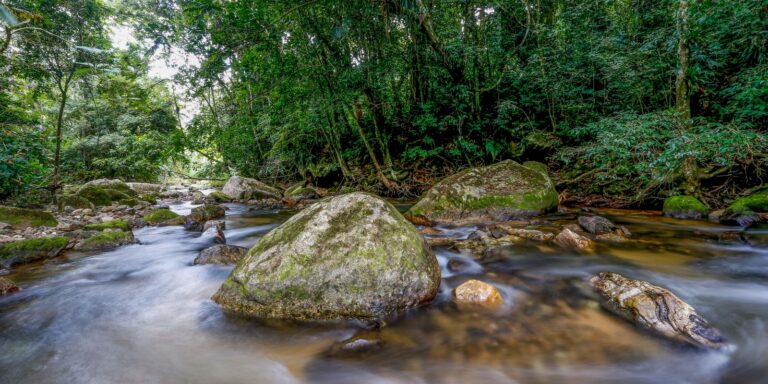 Plano busca fortalecer Sistema Nacional do Meio Ambiente até 2036