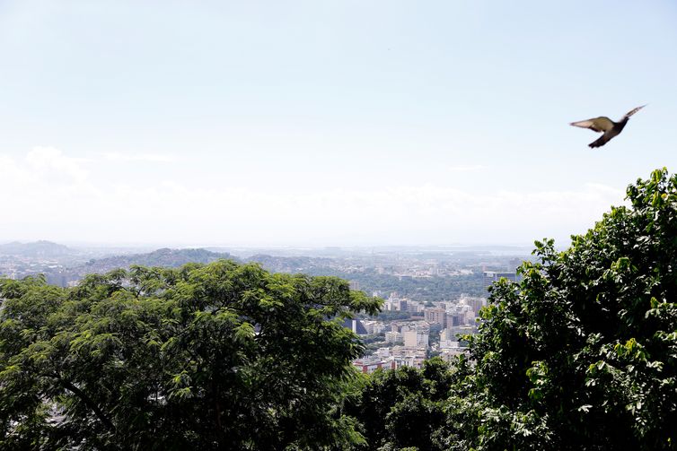 Rio de Janeiro (RJ), 26/03/2026 - Vista do bairro da Tijuca a partir do alto do morro do Salgueiro. Hortas agroecológicas e ancestrais no Morro do Salgueiro, zona norte da cidade. Foto: Tânia Rêgo/Agência Brasil