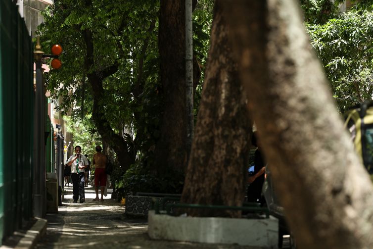 Rio de Janeiro (RJ), 14/01/2026 – A Rua Almirante Tamandaré, no Flamengo, na zona sul do Rio é uma via arborizada.Foto: Tomaz Silva/Agência Brasil