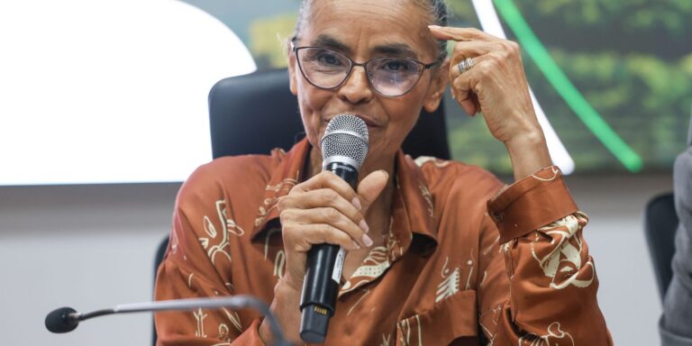 Em balanço, Marina destaca queda do desmatamento e maior fiscalização