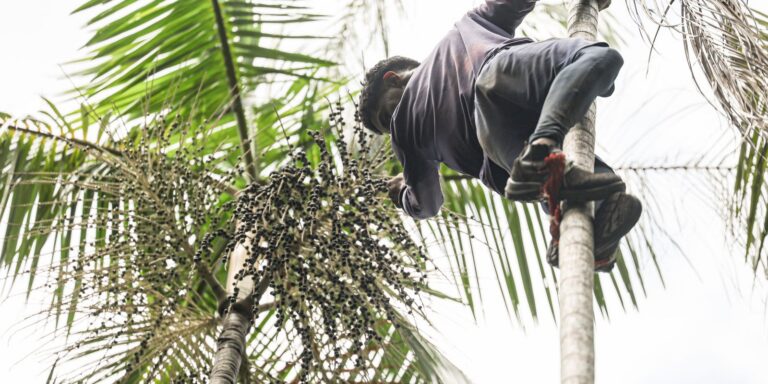 Governo investe R$ 132 milhões em regularização fundiária na Amazônia