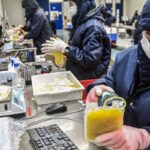 Dia Mundial da Hemofilia: campanha reforça importância do diagnóstico