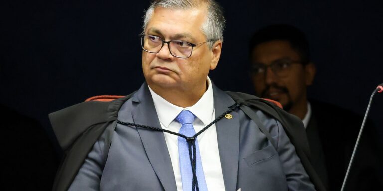 Dino dá 10 dias para governo mostrar plano de combate a incêndios
