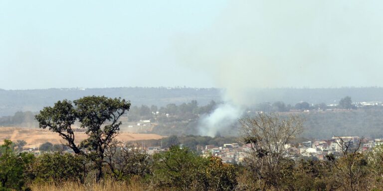 MMA lança edital para arborizar periferia urbana de pequenas cidades