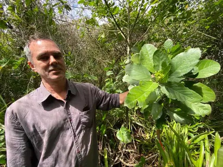 Brasília (DF), 04/05/2026 - O programa da  TV Brasil, Caminhos da Reportagem, apresenta o episódio Joias da Restinga. O bontânico MAssino Bovini com a planta que recebeu o nome em homenagem a Goethe. Foto: Aline Beckstein/Arquivo Pessoal