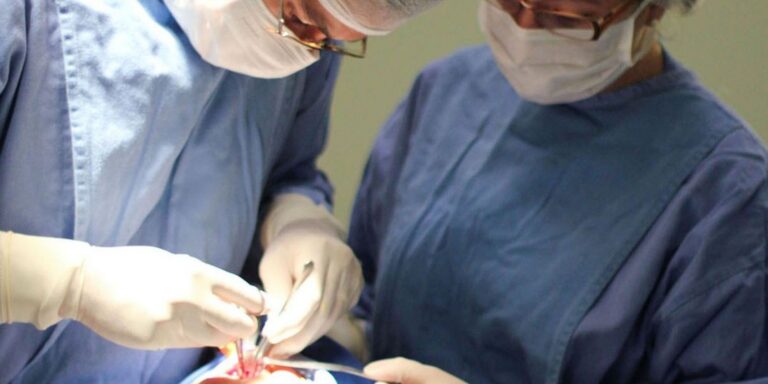 Fissura labiopalatina demanda tratamento precoce e multidisciplinar