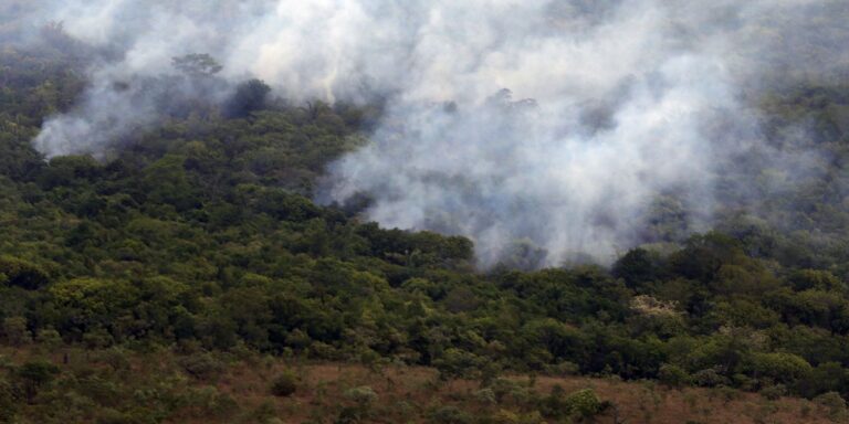 Copernicus: emissão global de gases por incêndios é a menor em 24 anos