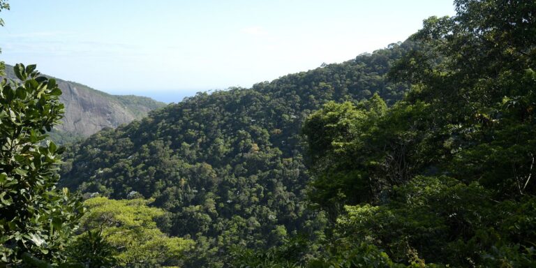 Plano mobiliza R$ 500 bi para financiamento sustentável no Brasil