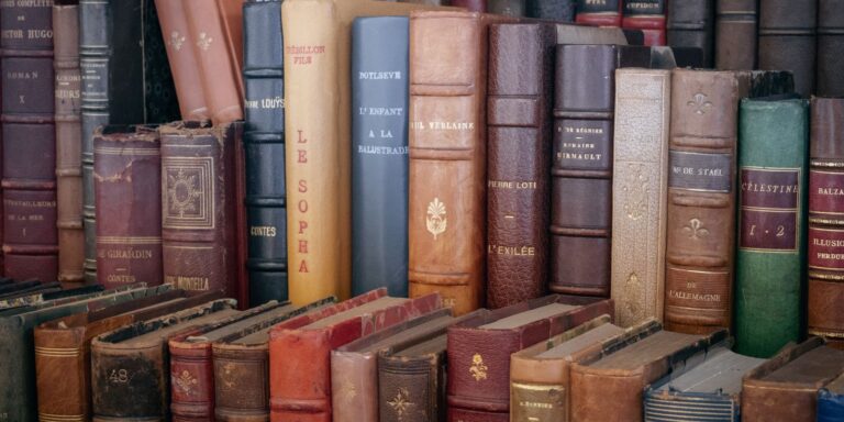 Júri pode anunciar amanhã vencedor do Prêmio Camões de Literatura 2026