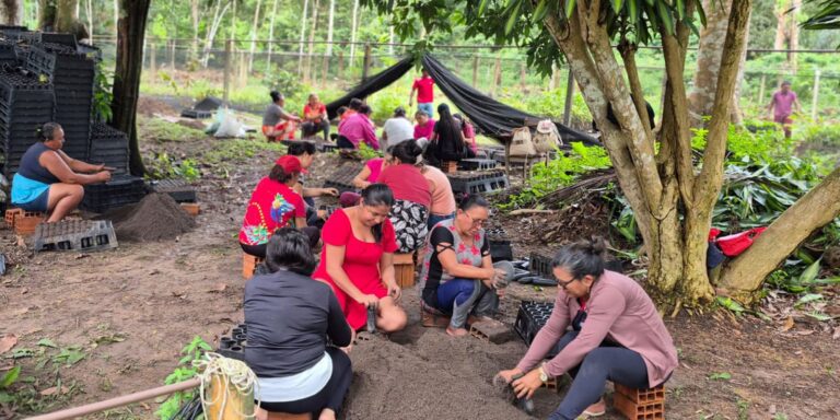Mulheres da Amazônia se unem para enfrentar as mudanças climáticas
