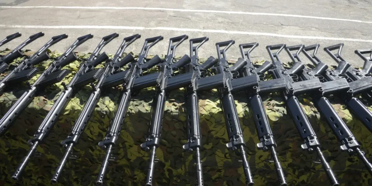 Forças de segurança do RJ terão de fazer recadastramento de armas