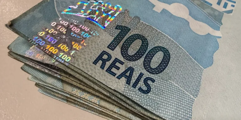 Vendas do Tesouro Direto registram melhor julho da história